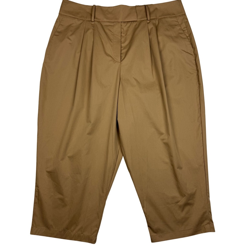 Anthropologie Exquise Pleated Cropped Pants Women 2X Cedar Brown Officecore Chic